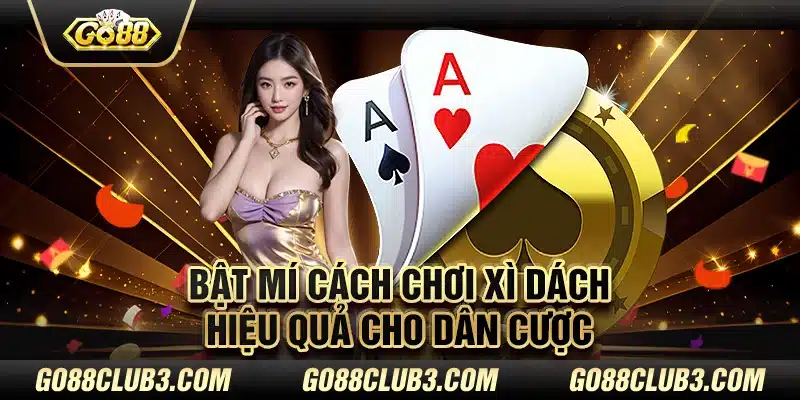 Bật mí cách chơi xì dách hiệu quả cho dân cược