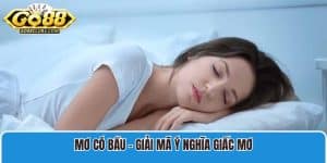 Mơ Có Bầu - Giải Mã Ý Nghĩa Giấc Mơ